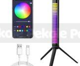 3D RGB APP Control Rechargeable Rhythm Light With Voice-Activated Pickup (D10)