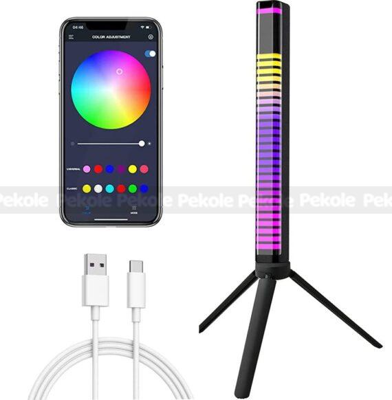 3D RGB APP Control Rechargeable Rhythm Light With Voice-Activated Pickup (D10)