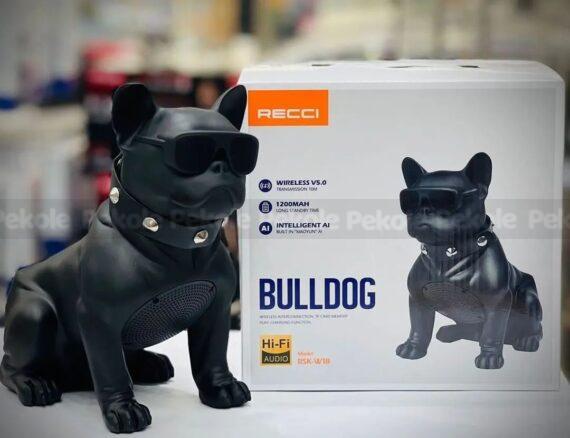 RECCI RSK-W18 BullDog Wireless Speaker with Microphone