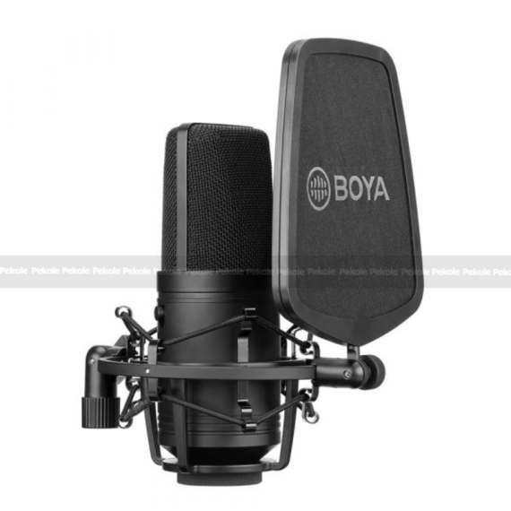 BOYA BY-M1000 Professional Large Diaphragm XLR Condenser Microphone (3 Polar Patterns) - Image 3