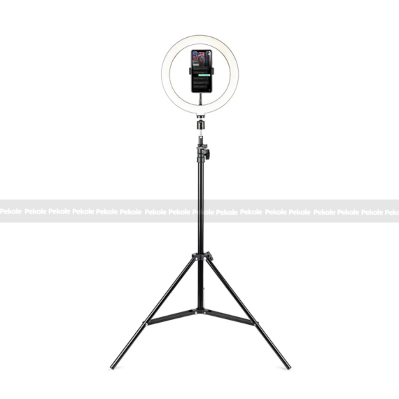 Havit ST7012 Pro Tripod Stand With Ring Light